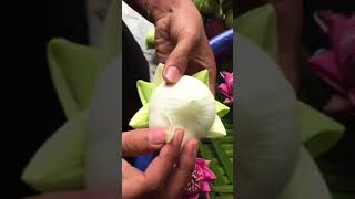 How to fold lotus flowers