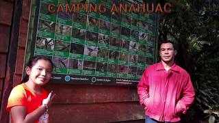 Errantes Cali - Camping En Anahuac