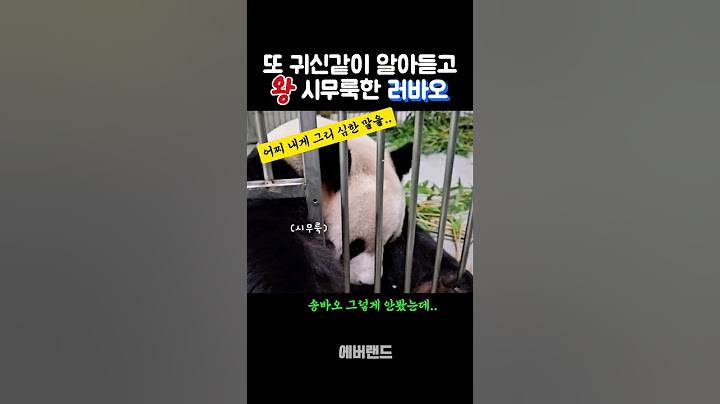 시무룩하면 너무 귀여운 러바오 #lebao