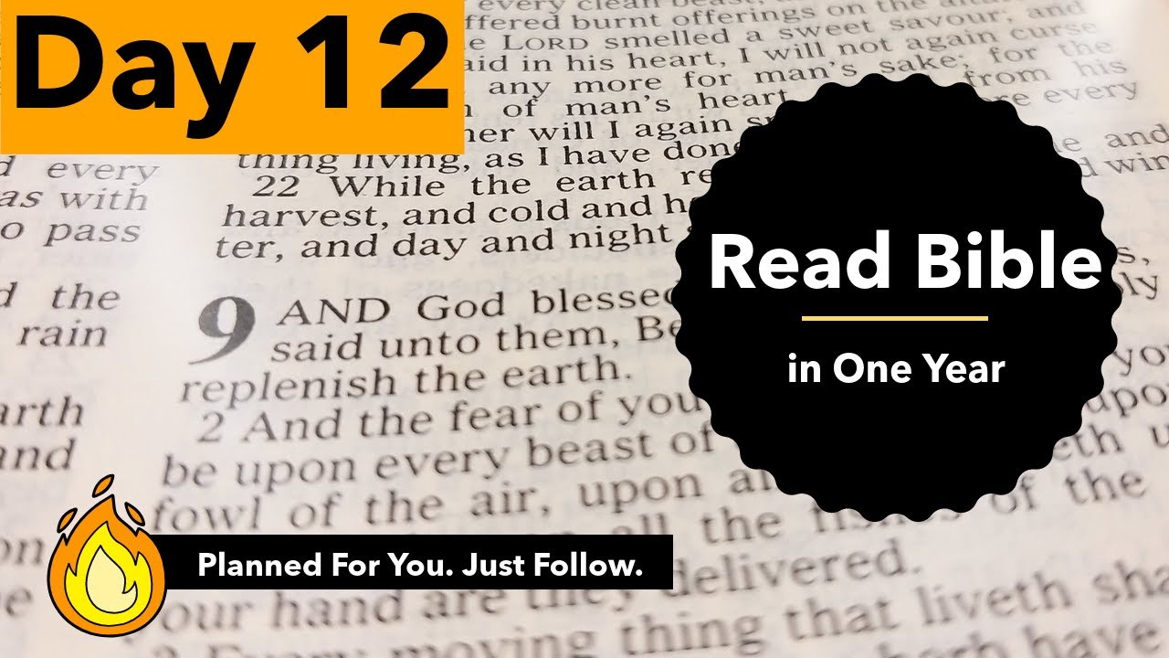 King James Version KJV Bible Reading Plan 2020 Best Audio Book king james version kjv bible reading plan 2020 best audio book
