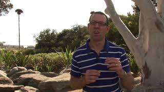 What is Values Based Financial Planning