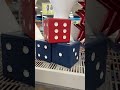 4th of July Landing At Home Stores #athome #4thofjuly #summer #homedecor #patriotic #dogs #stars