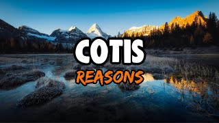 COTIS - Reasons (Lyrics)