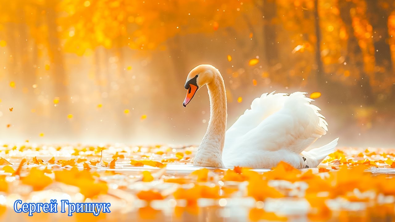 ВОССТАНОВЛЕНИЕ НЕРВНОЙ СИСТЕМЫ! Самая красивая мелодия на свете! Красивая музыка для души#relax