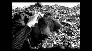 Lil Banks  Flash Morto www opened case rap blogspot com