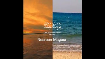 تلاوة قرانيه تريح القلب والنفس من سورة العنكبوت بصوت القارئ الشيخ عبد الرحمن مسعد