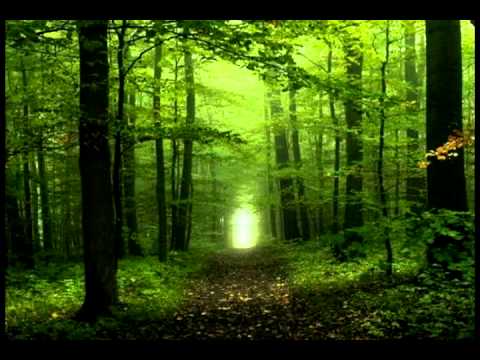 Blackmore S Night Darkness 