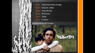 Instrumental  Tujhse Naraaz Nahi Zindagi  Masoom 1983