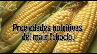 Propiedades nutritivas del maíz (choclo)