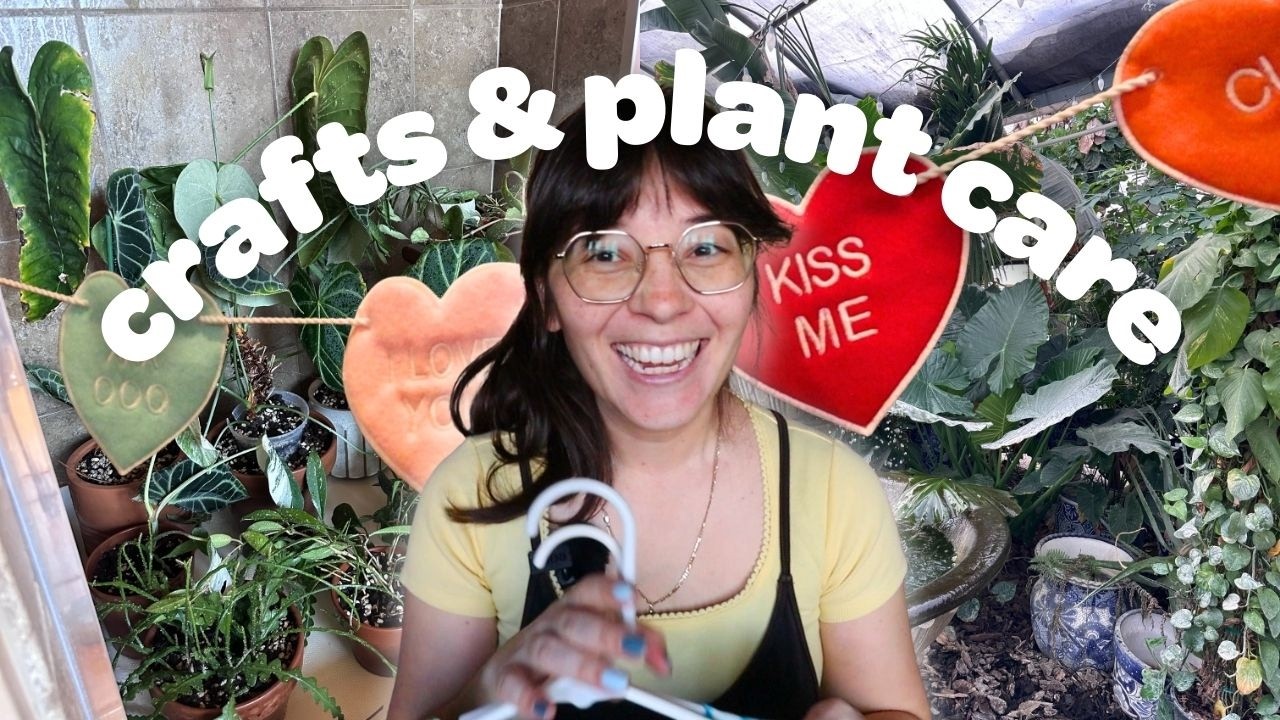 Видеоблог | Покупка растений, поделки ко Дню святого Валентина, уборка после цветения и многое др...