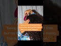A Mom's Secret: Salon-Worthy Hair, in Minutes!✨🌿#viral #curlyhair #usa #ads #sponsored
