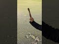 Oddly Satisfying Wastewater Purification Process 🧪✨#shorts #shortvideo #viralvideo#watertreatment