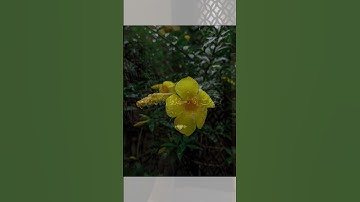 quran #القرآن #quran_alkarim #القران_الكريم #qu_ran_n #تلاوة_خاشعة #qu_ran_n؛؛قرآن #chahr_205 #اجر_