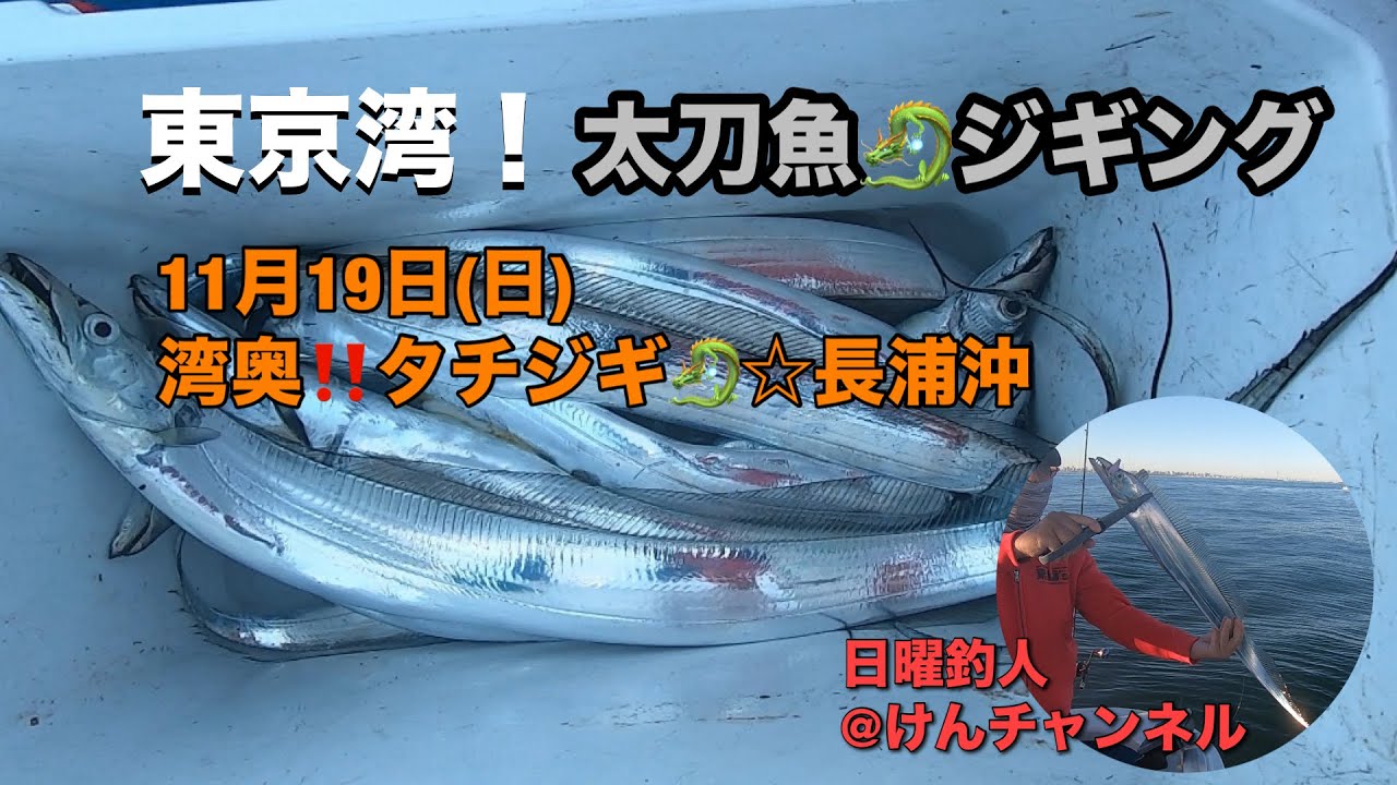 東京湾！タチウオジギング☆11月19日(日)湾奥‼️タチジギ☆長浦沖
