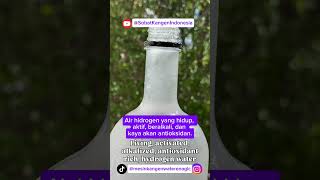 Mengenal Lebih Dekat Leveluk K8: Solusi Air Berkualitas di Rumah #enagic #explore #kangenwater