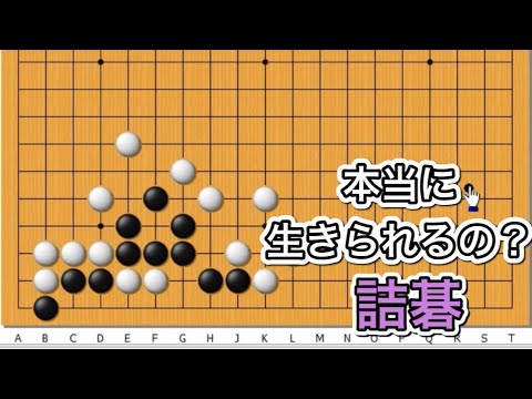 官子譜 1-4 セット　囲碁　参考本 囲碁】詰碁講座～官子譜編～級位者編～No641 - YouTube