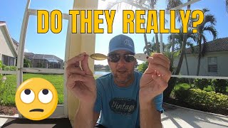 DO SPOONS REALLY PRODUCE MORE STRIKES THAN MOST ARTIFICIAL BAITS OUT THERE ?