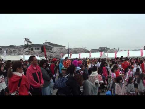 恋するフォーチュンクッキー1　2014篠山よさこい