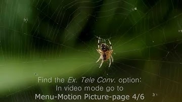 GH4 Digital Zoom vs Ex. Tele Conv Test