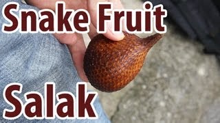 Exotic Fruit: Salak - Snake Fruit!