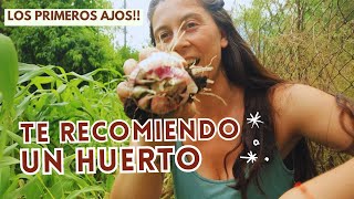 Te recomiendo un huerto! Salen los primeros Ajos! | Cómo sembrar zanahorias en verano