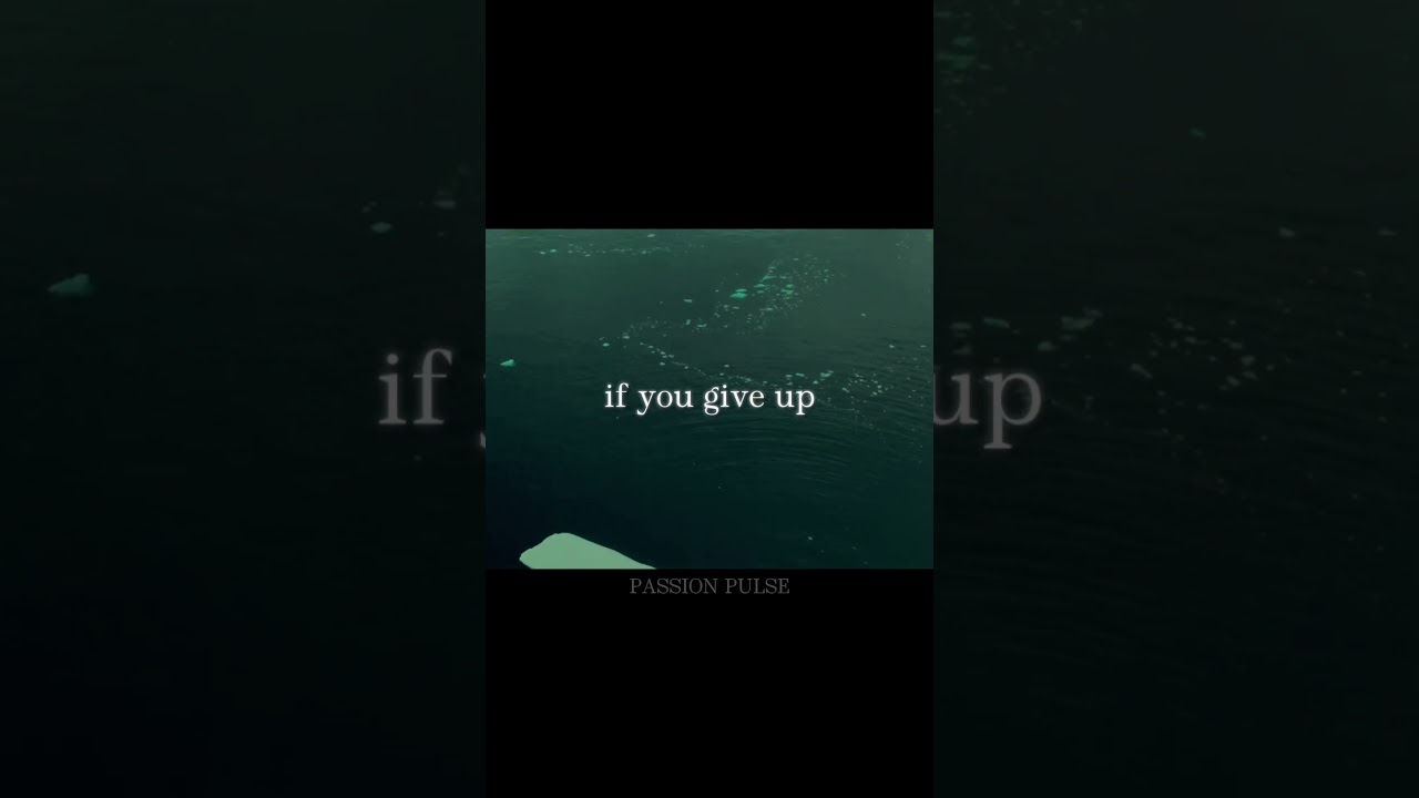 never give up                                                   