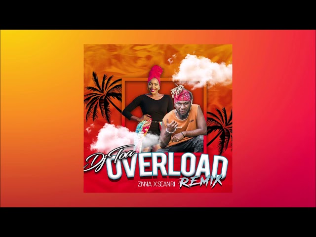 DJ TOA - Overload - ZINNIA X SEANRII REMIX class=