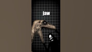 THE ANIMATRONIC INCIDENT 🦖
