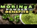 MORINGA POWDER BENEFITS || Top 10 Powerful Health Benefits Of MORINGA Powder #moringapowderbenefits