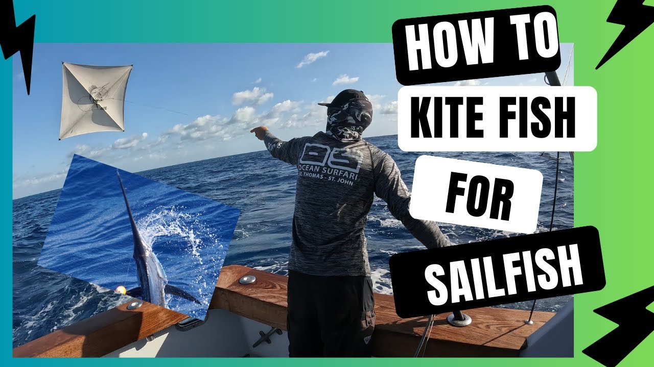 How To Kite Fish For Sailfish Offshore Miami Everything You Need To