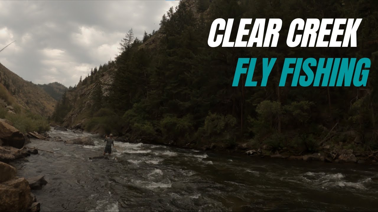 Clear Creek Flows are Dropping - Fly Fishing July 2025