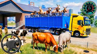 Animal Cargo Truck Driving Game 2026 - Animal Transport Cargo Truck - Android Gameplay  screenshot 4