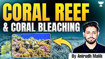 Coral reef & Coral bleaching Explained by Anirudh Malik | Physical Geography | UPSC Prelims 2025