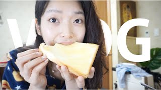 강제 집순이 VLOG 🏠재택근무 | 밖순이의 집순이 생활..
