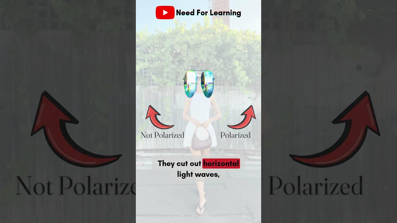 How Sunglasses work? Explore under 40 seconds. 