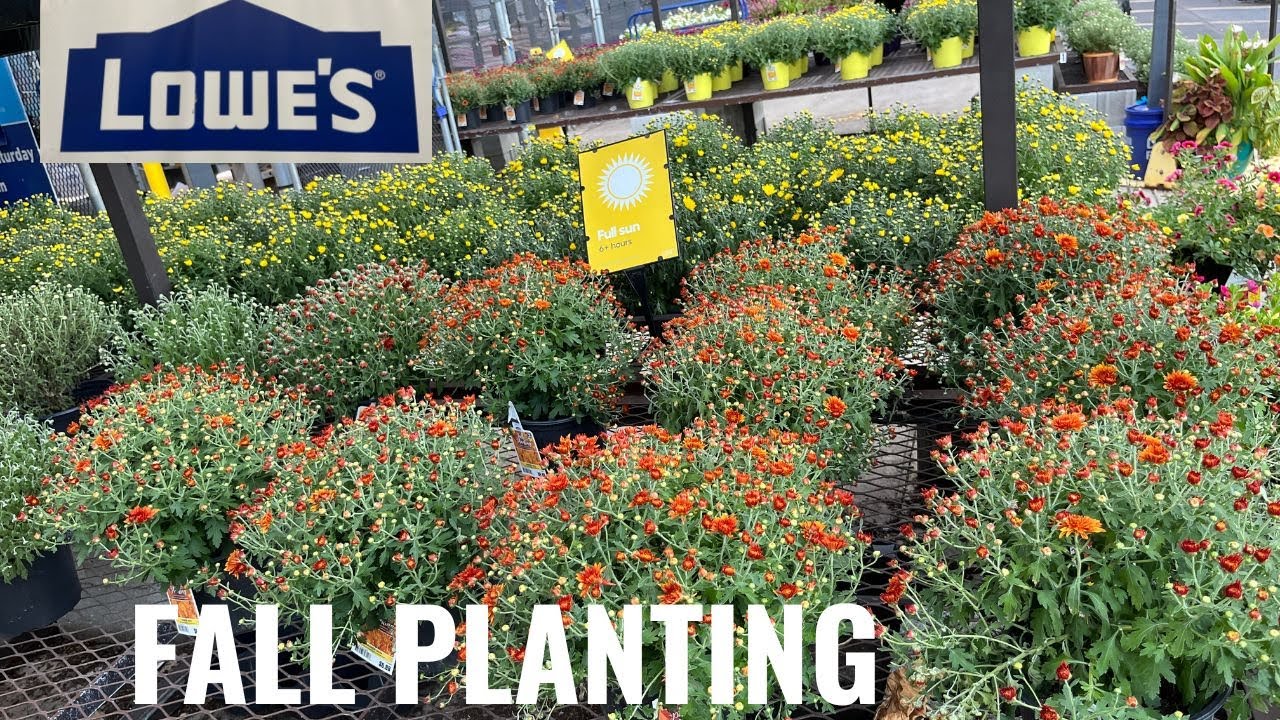 Lowes Garden Center New Inventory August 2022 YouTube