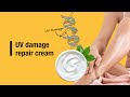 UV damage repair cream