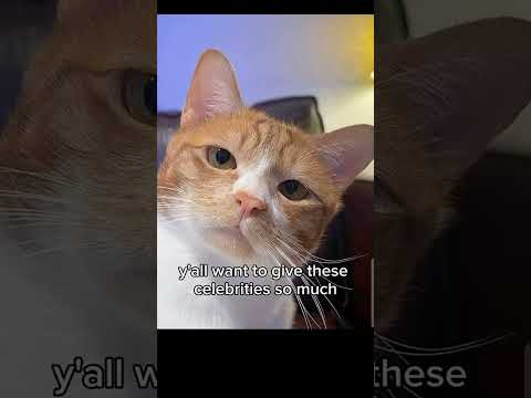 True talk#fyp#foryoupage#cat#youtube