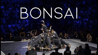 Bonsai / Super24 2019 Open Category Finals