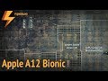 Внутри Apple A12 Bionic (компоновка чипа)