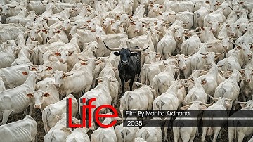 Sangkan Paraning Dumadi ~ A Film by Mantra Ardhana