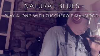 Natural Blues, play along con Zucchero e Mahmood