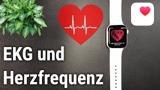 Kann Apple Watch 7 Blutdruck messen?