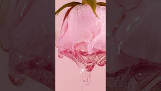 Her Şişede Bir Karakter, Her Damlada Farklı Bir Atmosfer...