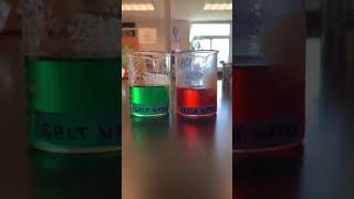Station 2: density and salinity
