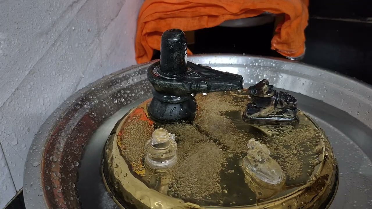 🔱 DAY 26 | Harahara | Always Thankful