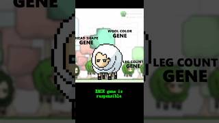 Oh Sheep ! Genetic Algorithm For Games