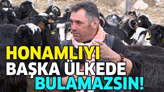 Honamlı Keçisini Başka Ülkede Bulamazsın! / 'TEKE ETİ GİBİ ET YOK!' by ÇİFTÇİ TV 7,031 views 2 weeks ago 46 minutes