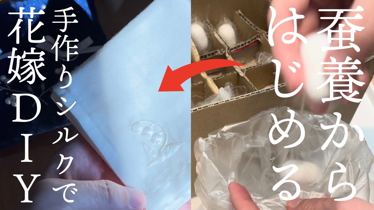結婚式で使うシルクが高いので、蚕から作ってみた