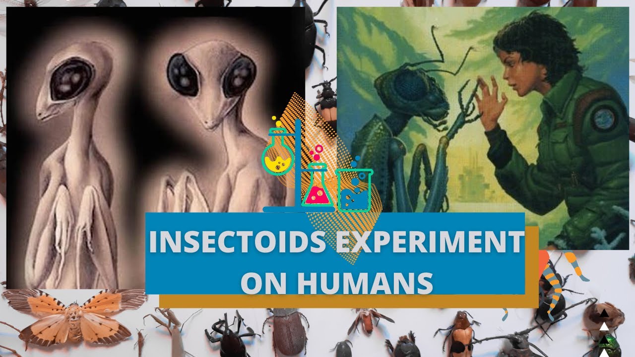 Insectoid Experimentations and Infestations.